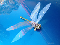 electronic dragonflies dragonfly sculpture car