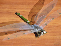 electronic dragonflies dragonfly sculpture wood solo