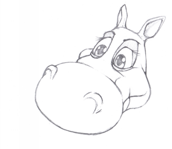 Hippo Head Sketch